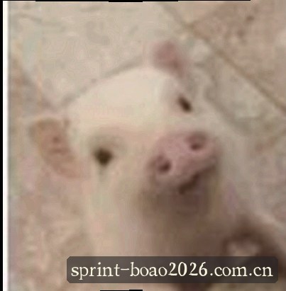 小陈